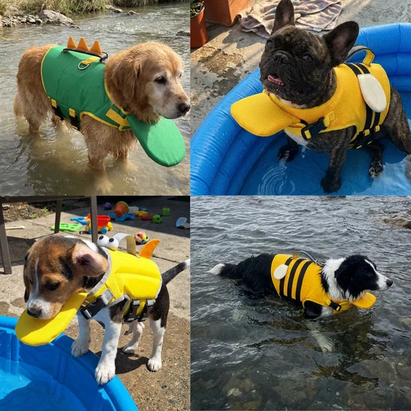 AquaDog