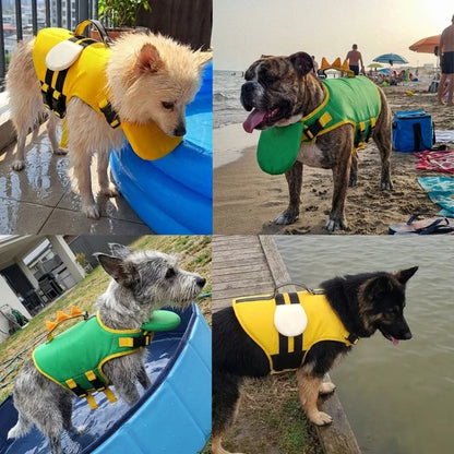 AquaDog