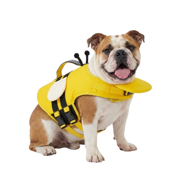 AquaDog