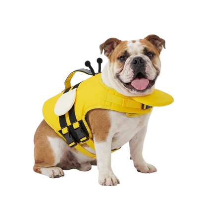 AquaDog