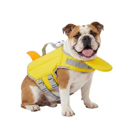 AquaDog